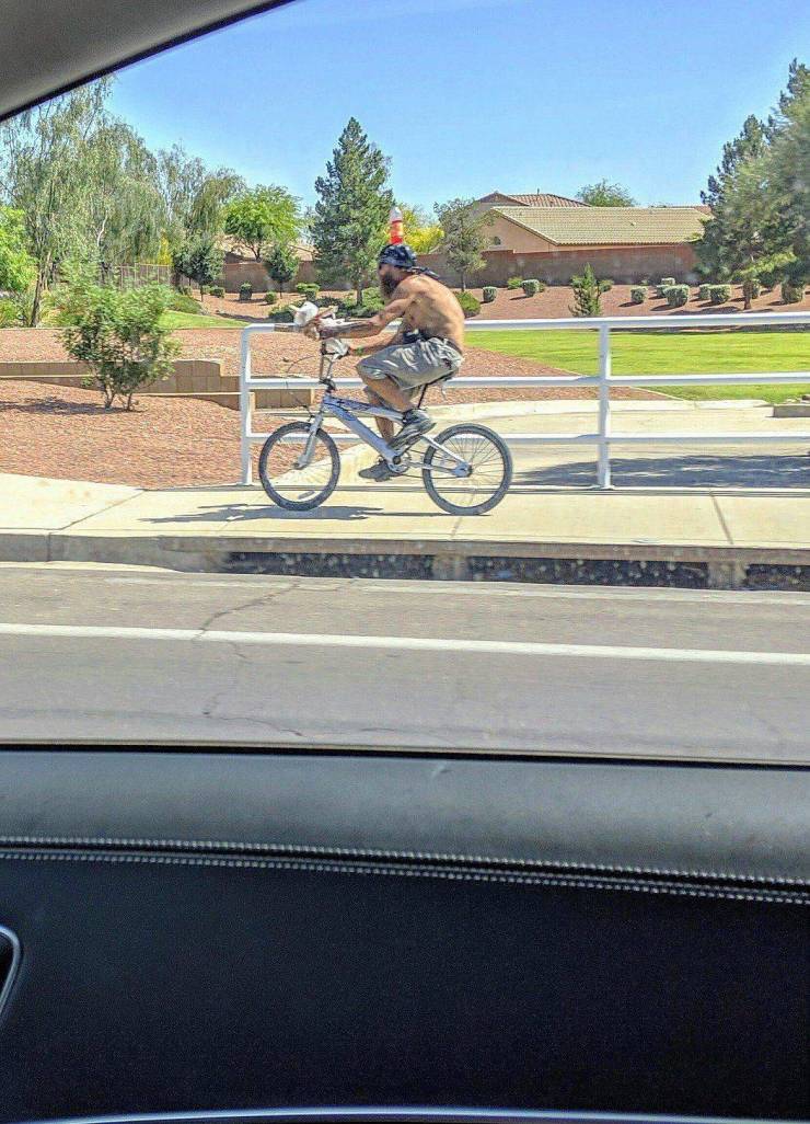 Daily Picdump