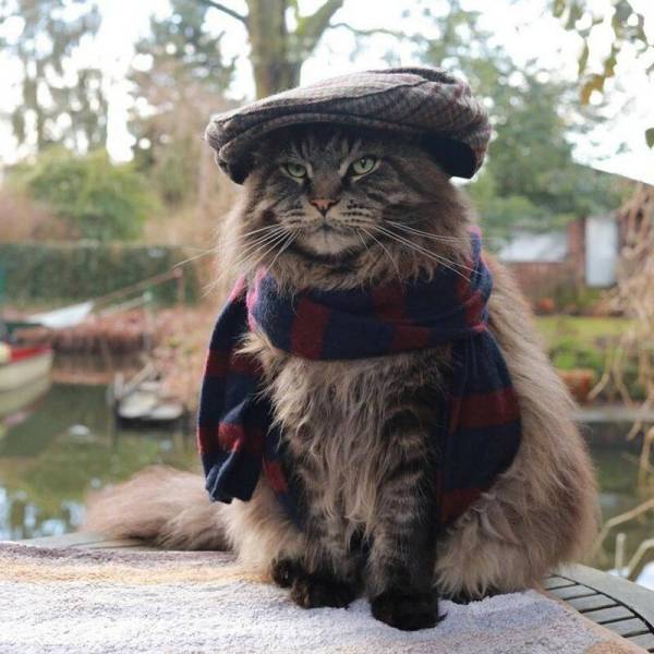 Daily Picdump