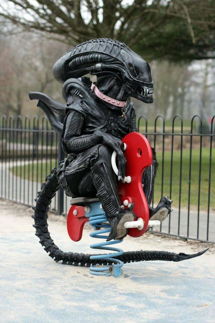 Daily Picdump