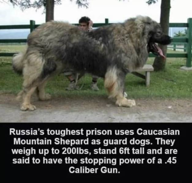 Still Think Size Doesn’t Matter?