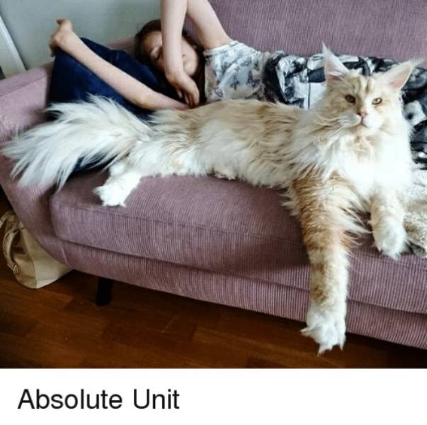 Still Think Size Doesn’t Matter?