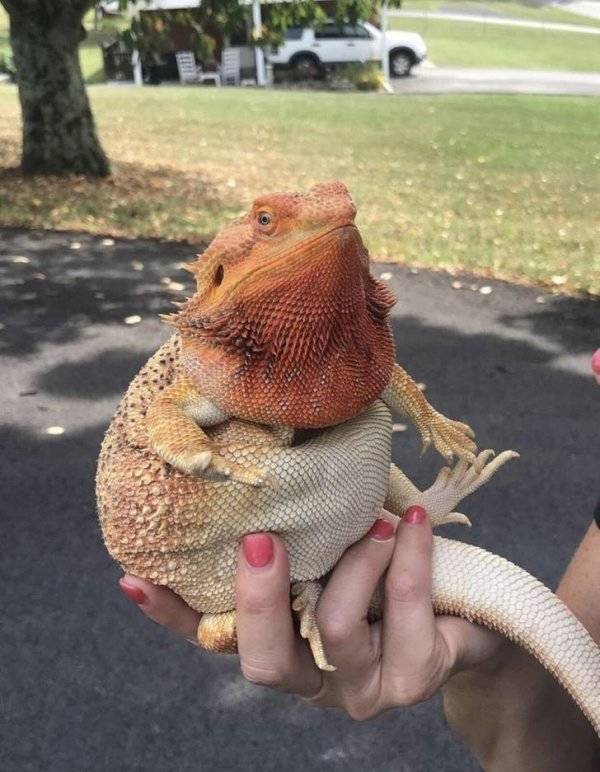 Still Think Size Doesn’t Matter?