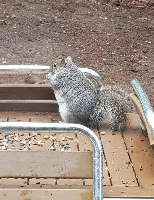 Still Think Size Doesn’t Matter?