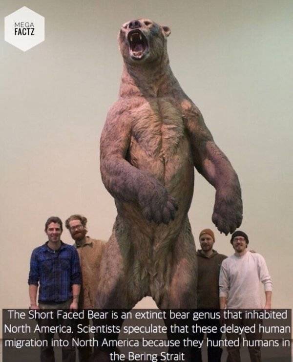 Still Think Size Doesn’t Matter?