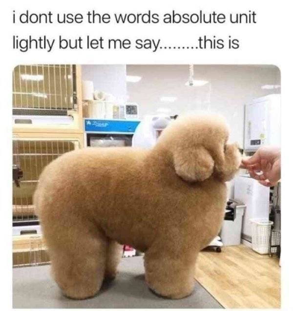 Still Think Size Doesn’t Matter?