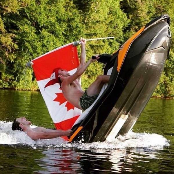 Daily Picdump