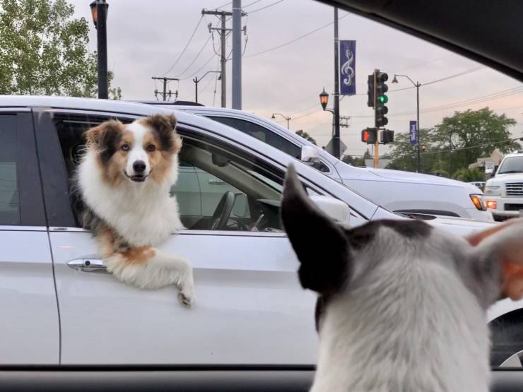 Daily Picdump