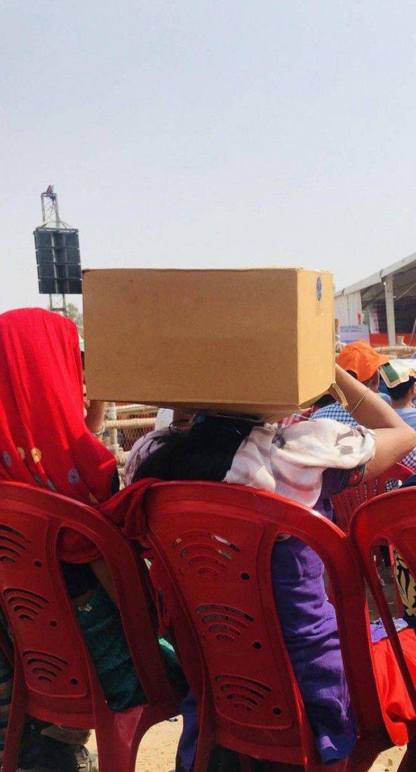 Daily Picdump
