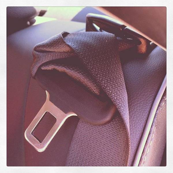 Daily Picdump [WEEKEND EDITION]