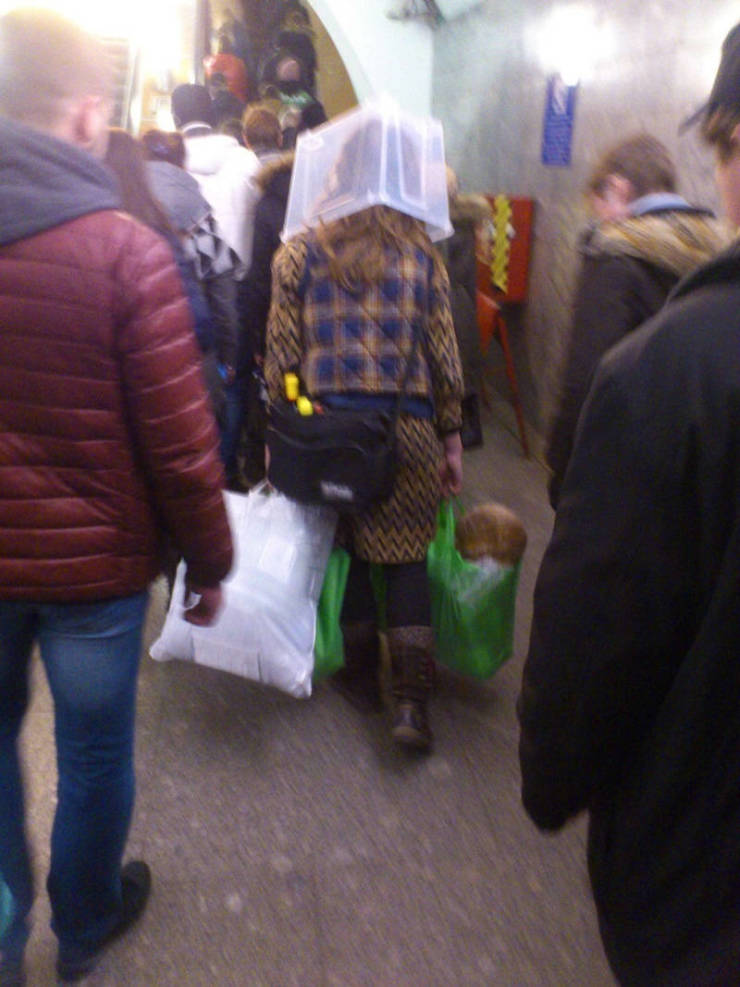 Daily Picdump