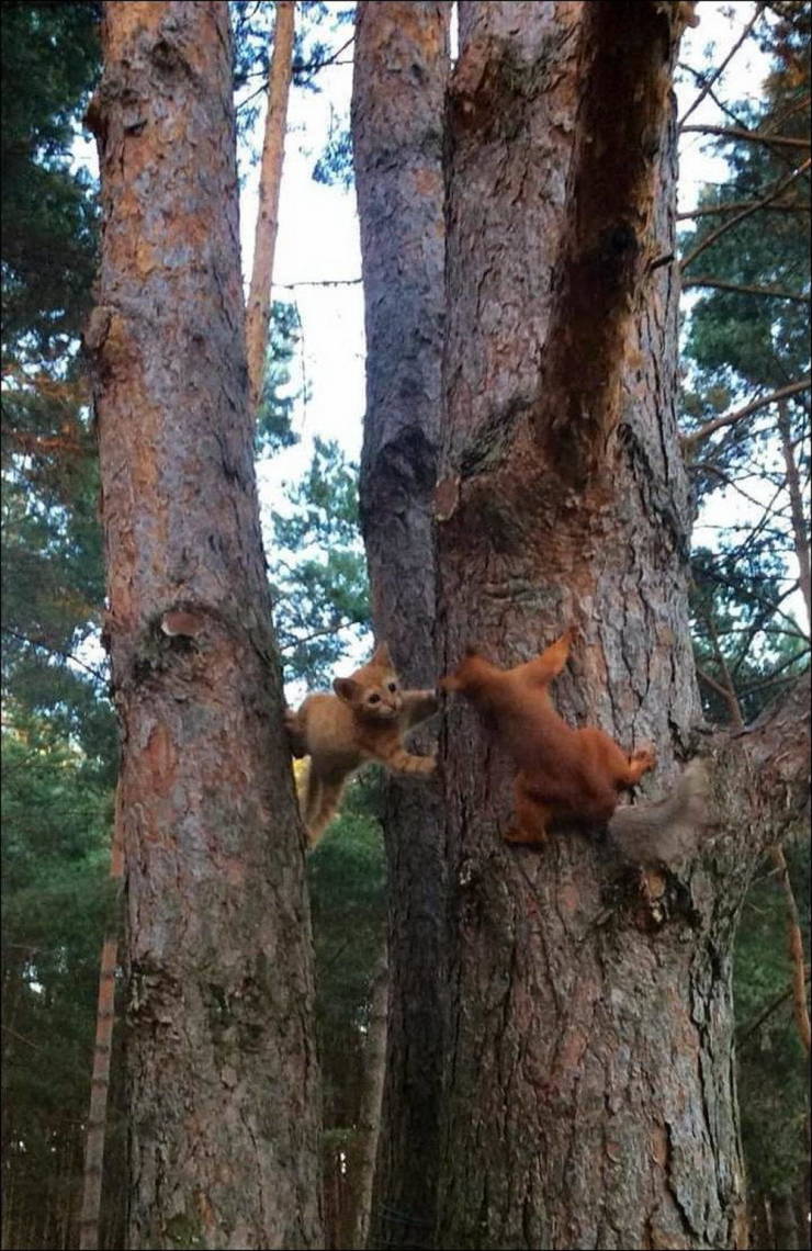 Daily Picdump