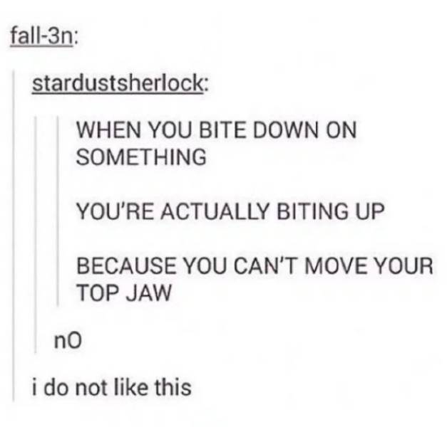 Your Life Will Never Be The Same Again