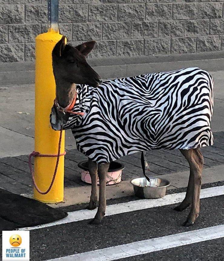 Walmart Is A Crazy, Crazy Place…