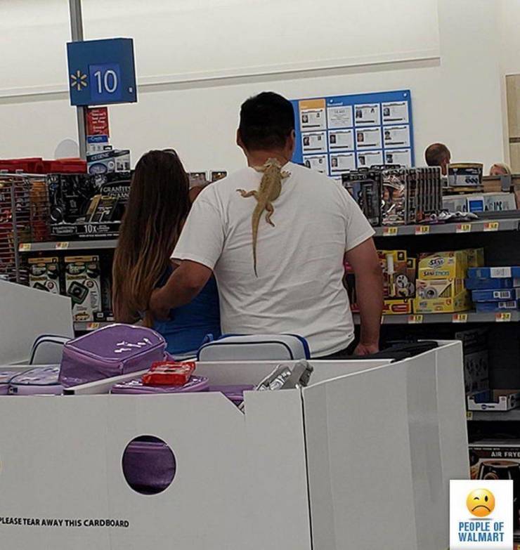 Walmart Is A Crazy, Crazy Place…