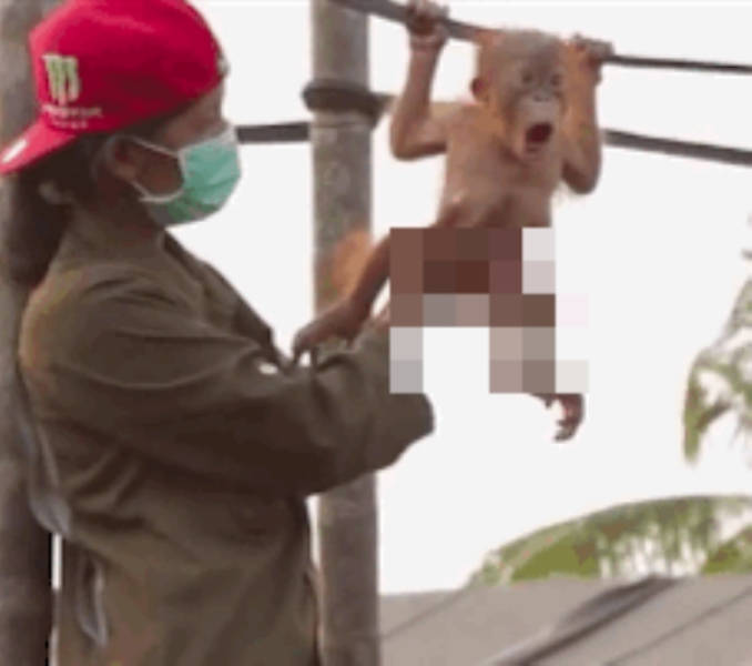 Censorship Makes Everything Look Spicy