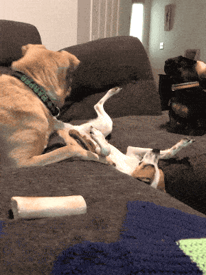 Put That Phone Down And Help Me!