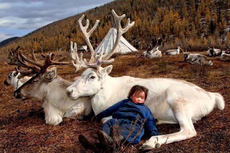 Daily Picdump