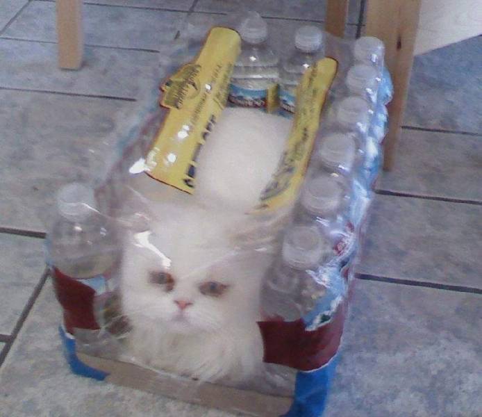 Daily Picdump