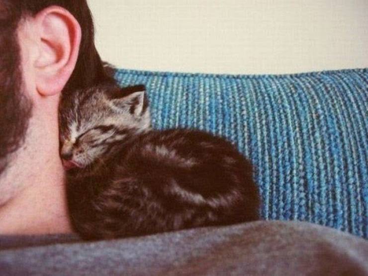 Daily Picdump