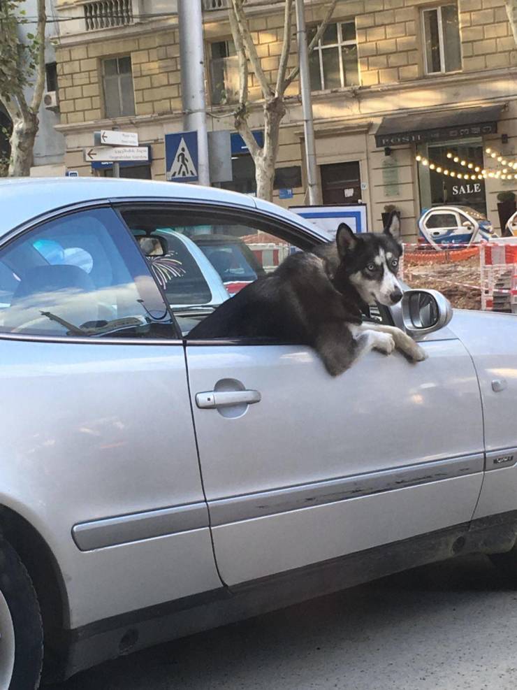 Daily Picdump