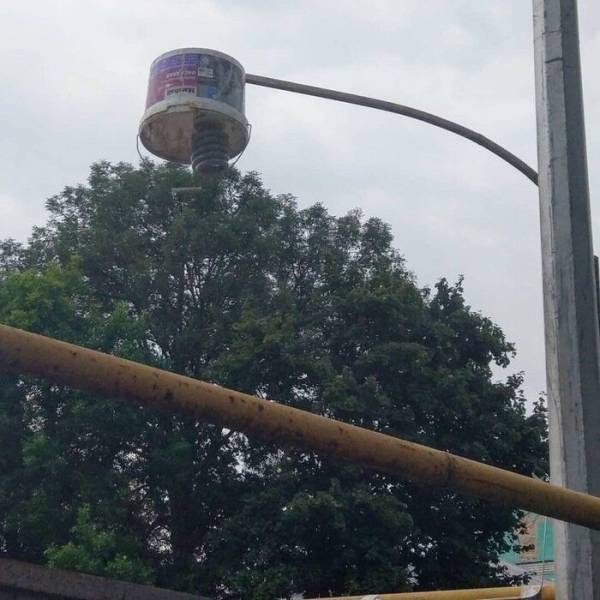 Nailed It…Almost…