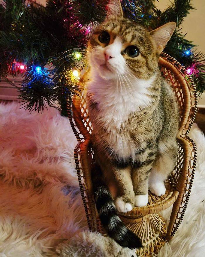 People Who Got Lucky In Thrift Stores