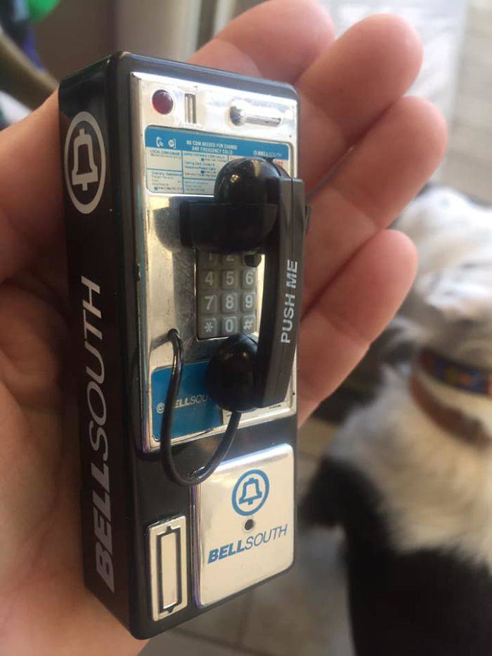 People Who Got Lucky In Thrift Stores