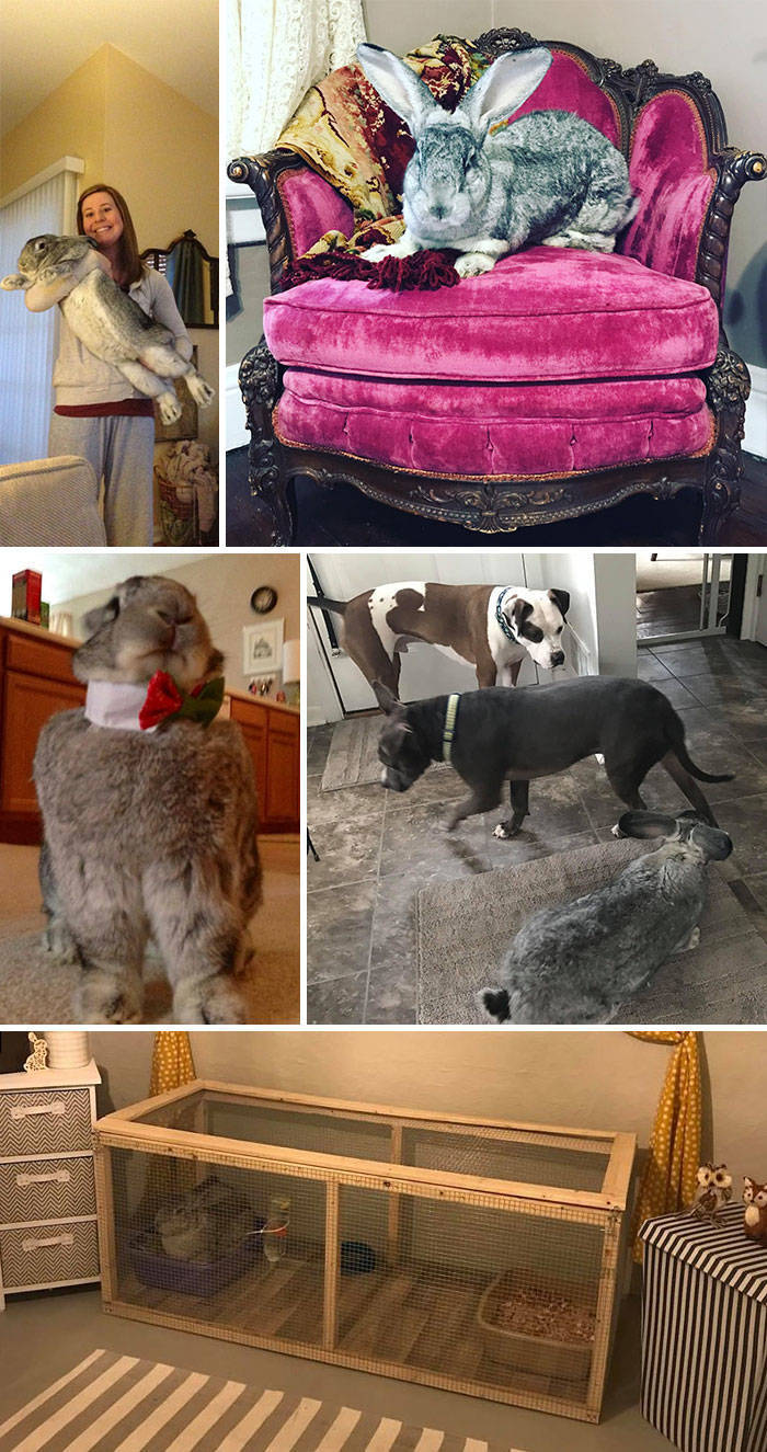 People Who Got Lucky In Thrift Stores