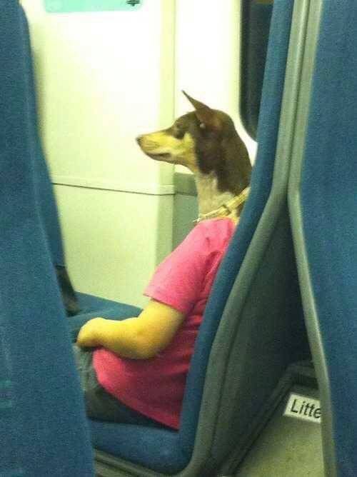 Perspective Can Deceive You
