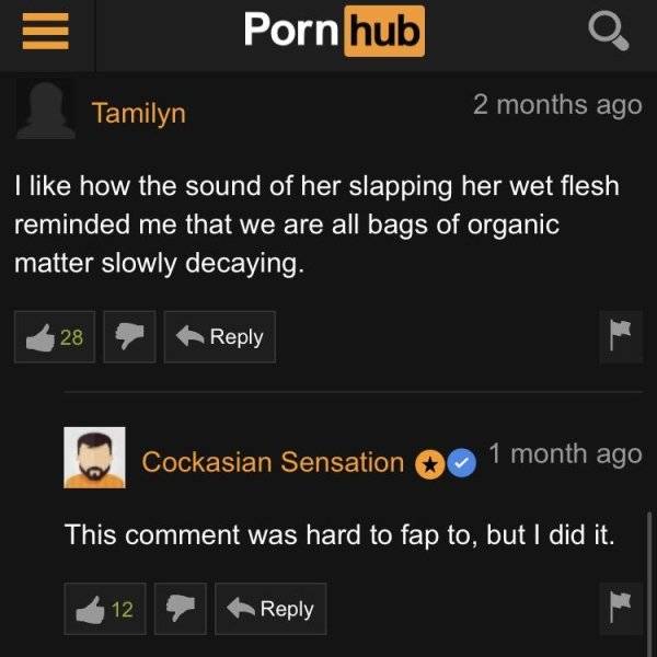 Pornhub’s Comment Section Is A Wild Ride!
