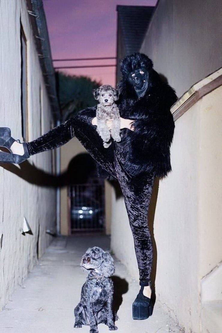 Sometimes You Just Can’t Explain…