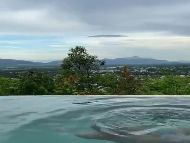 What A Great… View