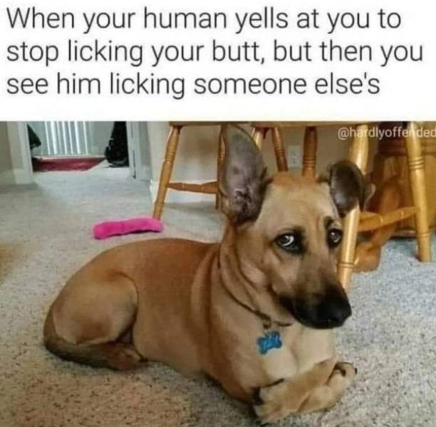 Dirty Mind, Come Here!