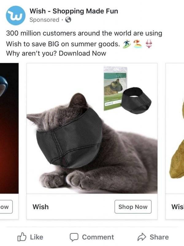 Wish.com Recommends Some Truly Twisted Stuff…