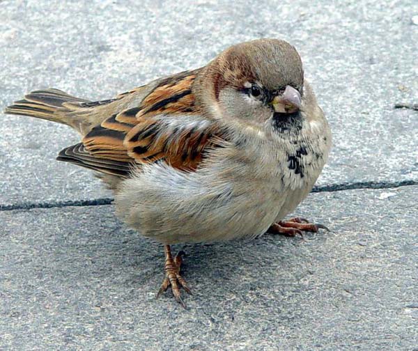 Pictures taken by surprise. Part 2 (67 pics)