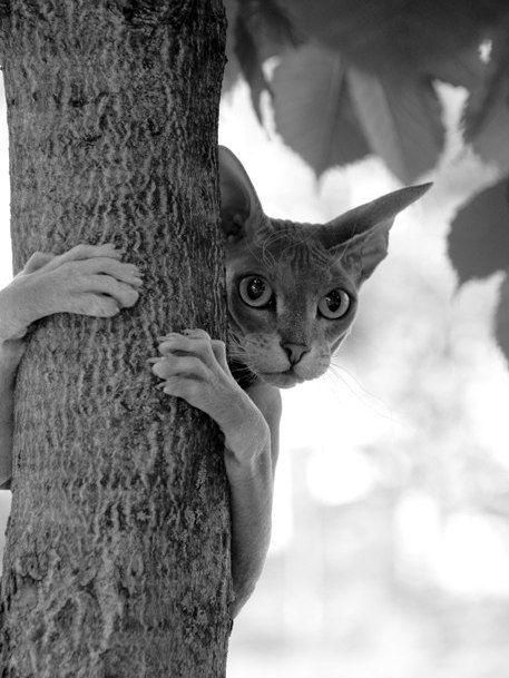 Funny picdump (125 pics)