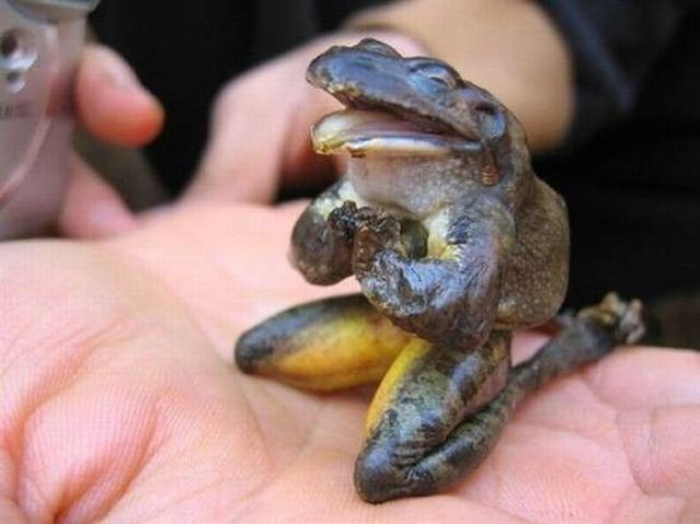 Funny picdump (125 pics)