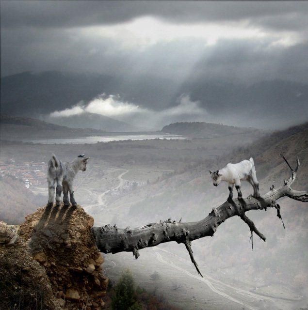 Funny picdump (125 pics)