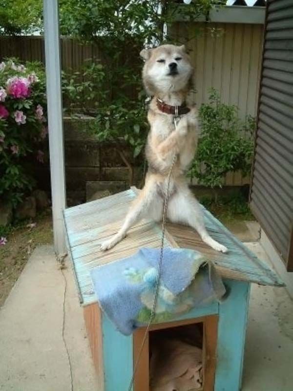 Funny picdump (125 pics)