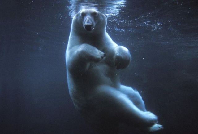 Funny picdump (125 pics)