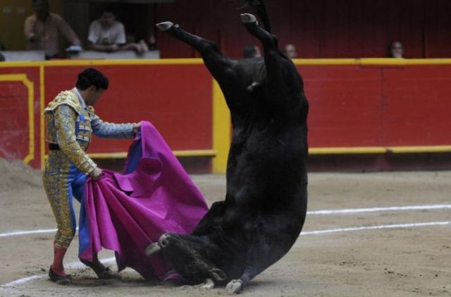 Funny picdump (129 pics)