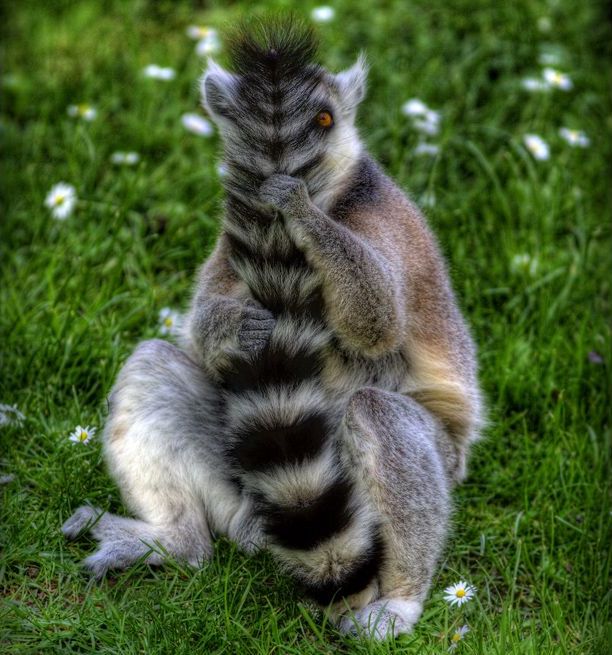 Funny picdump (146 pics)