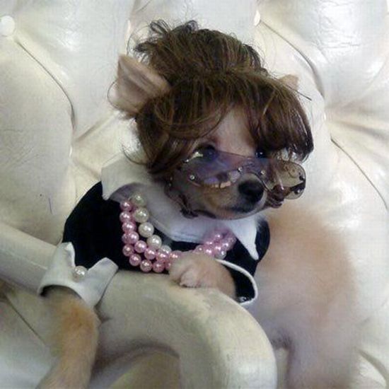 Funny picdump (146 pics)