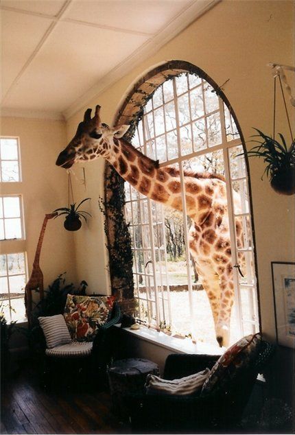 Funny picdump (146 pics)