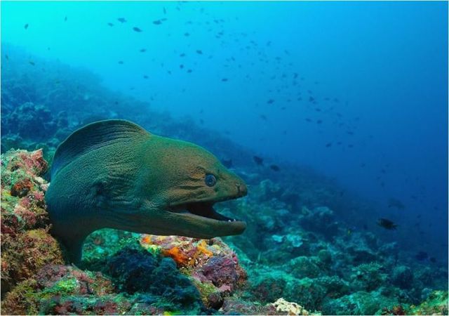 Funny picdump (146 pics)