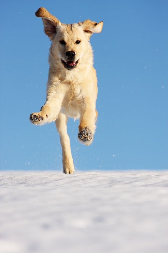 Funny picdump (146 pics)