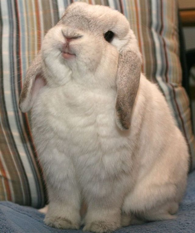 Funny picdump (146 pics)