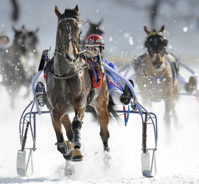 Funny picdump (146 pics)