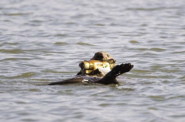 Funny picdump (146 pics)