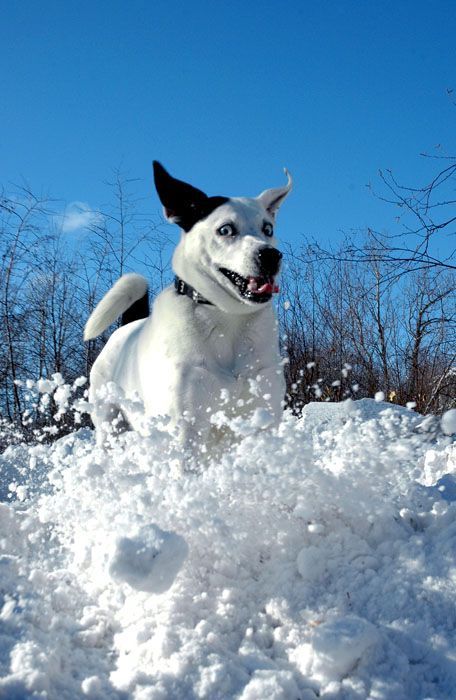 Funny picdump (146 pics)